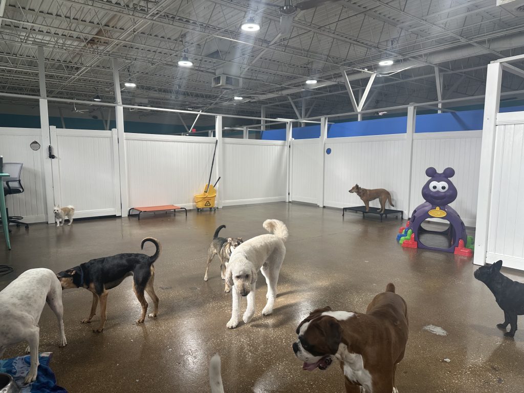 Dog Training Boarding Hoffman Estates IL